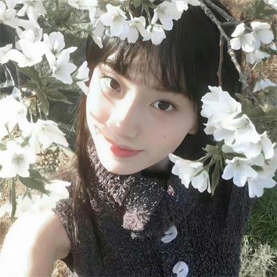 夜幕女王